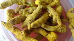 పాడేరు పసుపుకు పొగ... అడుగడుగునా దగా..