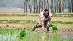 ఈ సాగు చేయలేకున్నాం సార్