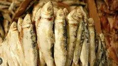 ఉప్పు చేప.. ఇక ఉడకదంట!