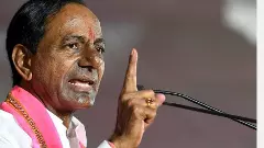 మీరు ఓడిపోయారు . ఎందుకు,?