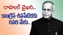 రాహుల్‌కు రాజకీయ చతురత లేదా?