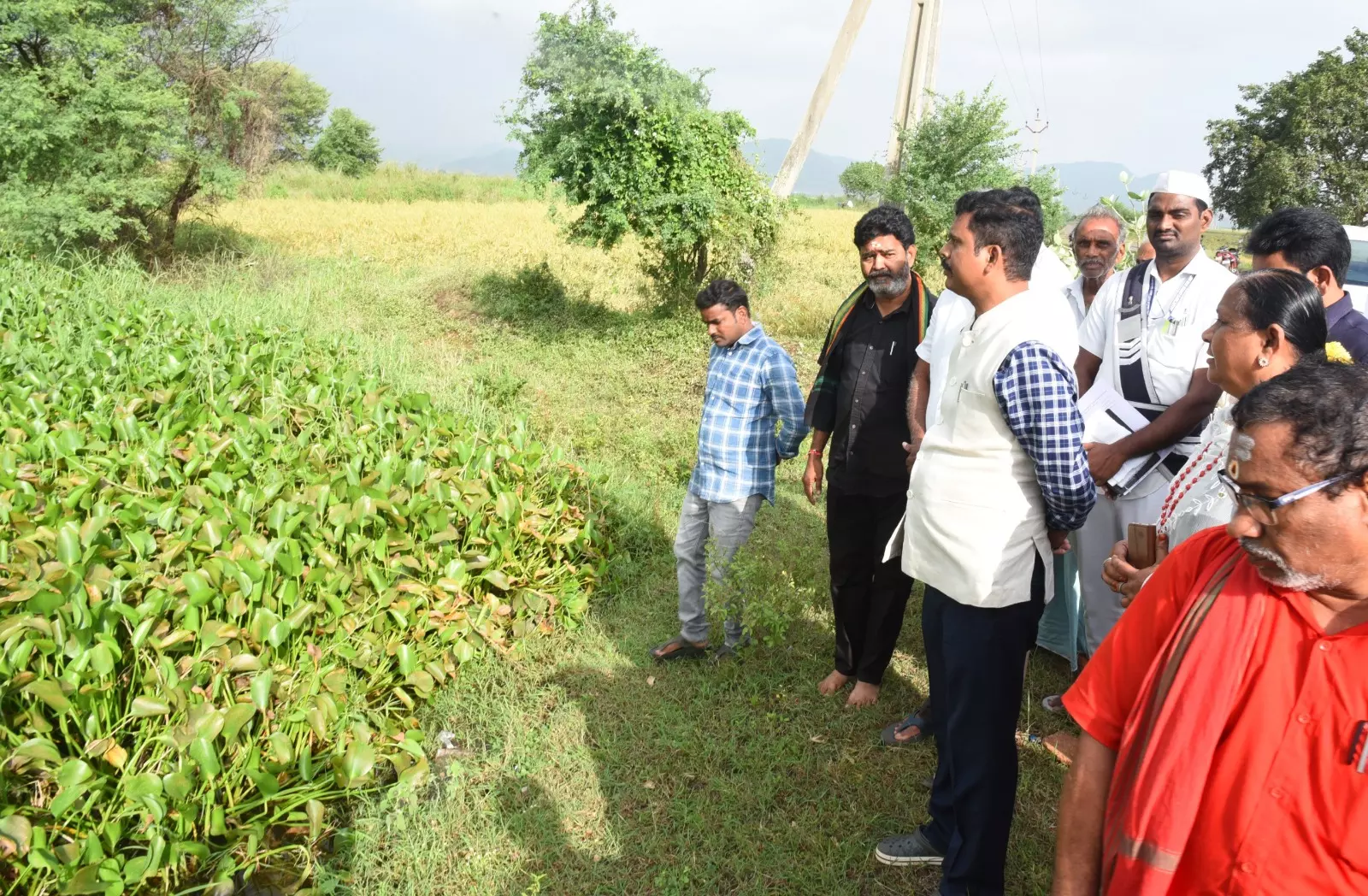 ఎన్‌టీఆర్‌ జిల్లాలో 12,466 హెక్టార్లలో పంట నష్టం