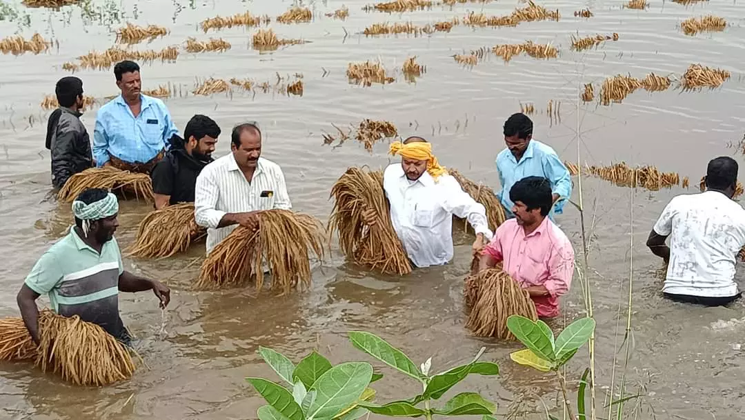 పంట నష్టం అంచనాకు మరో మూడు రోజులు