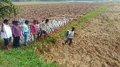 మందకొడిగా తుపాన్‌ నష్టం అంచనాలు