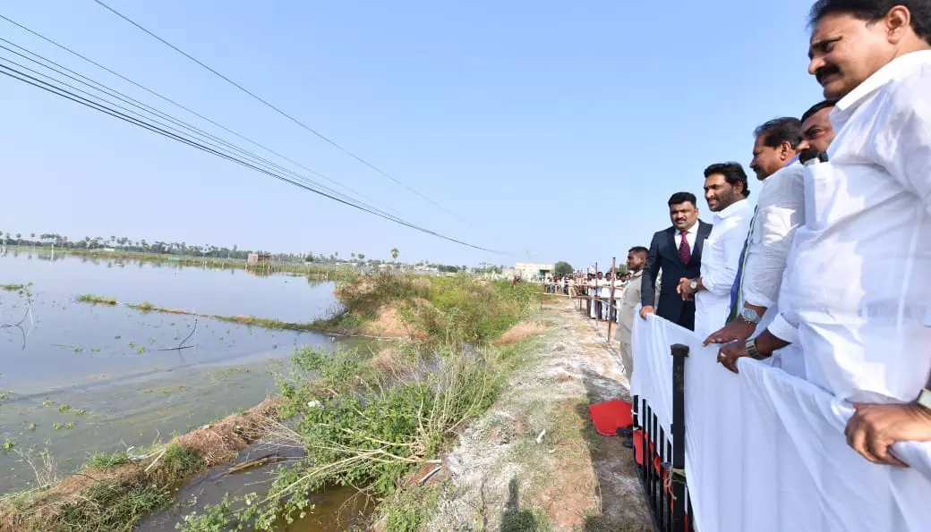 చెరువుల్లా పంట పొలాలు