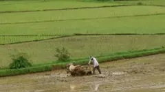 ఇక అలాంటి భూములకు రైతుభరోసా ఇవ్వరట?