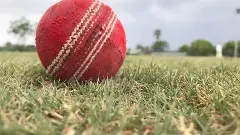 క్రికెట్ బాల్  పక్కజట్టు ఫీల్డర్ తలకు తగిలి...