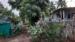 ఎద్దుల బండిపై ఊరేగుతున్న మునసబుగారు