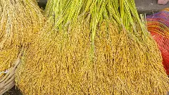 మోదీ ఫొటో లేదని.. ఆ రాష్ట్రానికి 7వేల కోట్లు నిలిపేసిన కేంద్రం