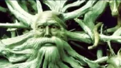 మాయలమారి (కవిత)