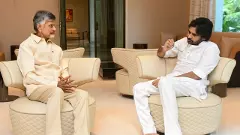 గెలిచేవి కొన్ని... అది సరే.. ఓడిపోయేవి ఎన్ని?