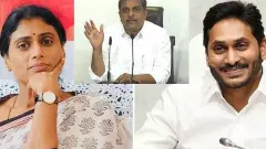 షర్మిలమ్మ.. చంద్రబాబు చిలకమ్మ!