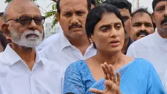 ఇప్పుడది వైవీ సుబ్బారెడ్డి, సాయిరెడ్డి, రామకృష్ణారెడ్డి పార్టీ!!