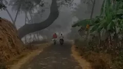 మంచు దారుల్లో...    (ఫోటో కవిత )