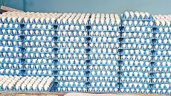 కోడిగుడ్ల ఉత్పత్తిలో అగ్రస్థానంలో ఆంధ్రప్రదేశ్‌