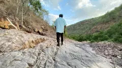 శేషాచలం అడవుల్లో ఒక రాత్రి...