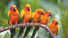 వ్యత్యాసం (కవిత)