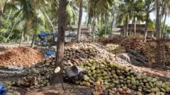 ‘తరవాణి’ కమ్మనైన తెలుగు పానీయం, తరవాణి అంటే ఏంటో తెలుసా?