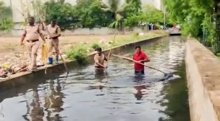 ఉసురు తీస్తున్న విజయవాడ ఓపెన్‌ డ్రెయిన్లు