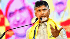 చంద్రబాబుపై మండిపడుతున్న టీడీపీ శ్రేణులు