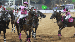 హైదరాబాద్ హార్స్ రైడింగ్ క్లబ్‌కు వెళ్లొద్దాం రండి