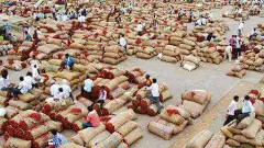 ఆంధ్రాలో  భారీగా పడిపోయిన మిర్చి ధరలు, రైతుల కంగారు