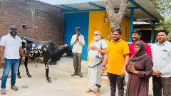 ముస్లిం రైతుకు ఎద్దును కానుకగా ఇచ్చిన చిలుకూరు ఆలయ అర్చకులు