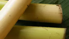 ఇల్లాలి ముచ్చట్లు, ఇంటాయన ముచ్చెమటలు