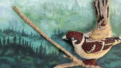 చిరు ధాన్యాల పిచ్చుక.. ఇంత అందెగత్తా!