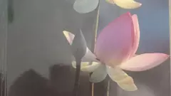 సంఘర్షణలోంచే మంచి కవిత్వం పుట్టుకొస్తుంది