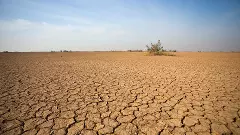 కరువు సాయం కోసం ‘సుప్రీం’తలుపు తట్టిన కర్ణాటక