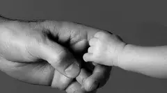 నాన్న చెట్టు  (కవిత)