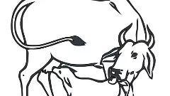 ఆవుదూడ గుర్తుందా, అప్పటికి ఇప్పటికీ ఎంత తేడానో!