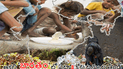 భారత్‌లో ఏడాదికి 78.2 మిలియన్ టన్నుల ఆహారం వృధా అవుతుందా..?