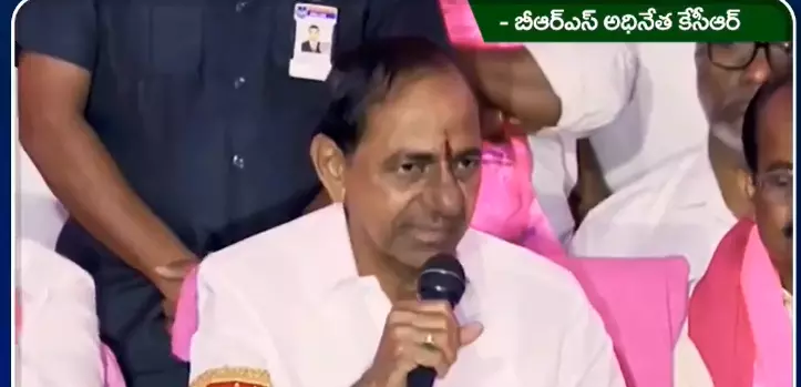 నెత్తిన పెట్టుకున్నపుడు కుక్కలు, నక్కలని తెలీదా..కేసీయార్ ?