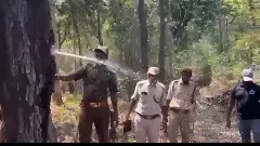 ఇంతకీ ఆ చెట్టు నుంచి నీరెందుకోస్తుందో తెలుసా?