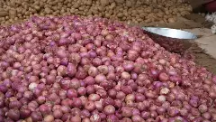 మాల్దీవులకు నిత్యావసర వస్తువుల అందజేత