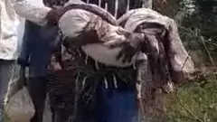 కొడుకు శవంతో తండ్రి కన్నీటి నడక