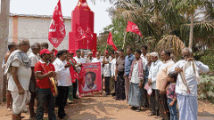 పులుల్ని మింగిన గొర్రెలున్నాయట... ఎక్కడో తెలుసా...?