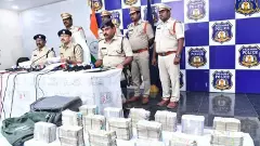 బ్యాంకును దోచి.. మర్రిచెట్టు తొర్రలో దాచిన ముసుగు దొంగ