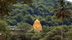 సింగిరి కోన: ఇక్కడ దోసిళ్ల కొద్ది ప్రకృతి సౌందర్యం జుర్రు కోవచ్చు…