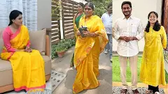 చెల్లి చీర రంగుపై జగన్ కామెంట్లు.. మండిపడుతున్న నెటిజన్లు