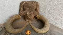 తిరుపతి సమీపంలో నిశ్శంక దుర్గానికి ట్రెక్...