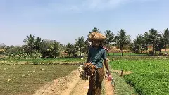 అవి ఉచిత పథకాలు కావు, సముచిత పథకాలు