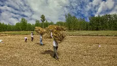 కర్ణాటకలో కరువు పరిహారం పంపిణీ