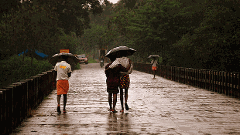 పోలింగ్ రోజు ఆంధ్రా, తెలంగాణలో వర్షాలు..ఓటింగ్ శాతం ప్రభావితమవుతోందా?