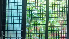 కిటికీ అందుకే మూసుకోకు (‘ఇల్లు’ సీక్వెల్ కవిత-8)