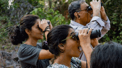 తెలంగాణలో 200కుపైగా జాతుల పక్షులు కనిపించిన వేళ...