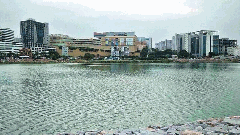 హైదరాబాద్‌లో సరస్సుల సంరక్షణకు నడుం కట్టిన అధికారులు