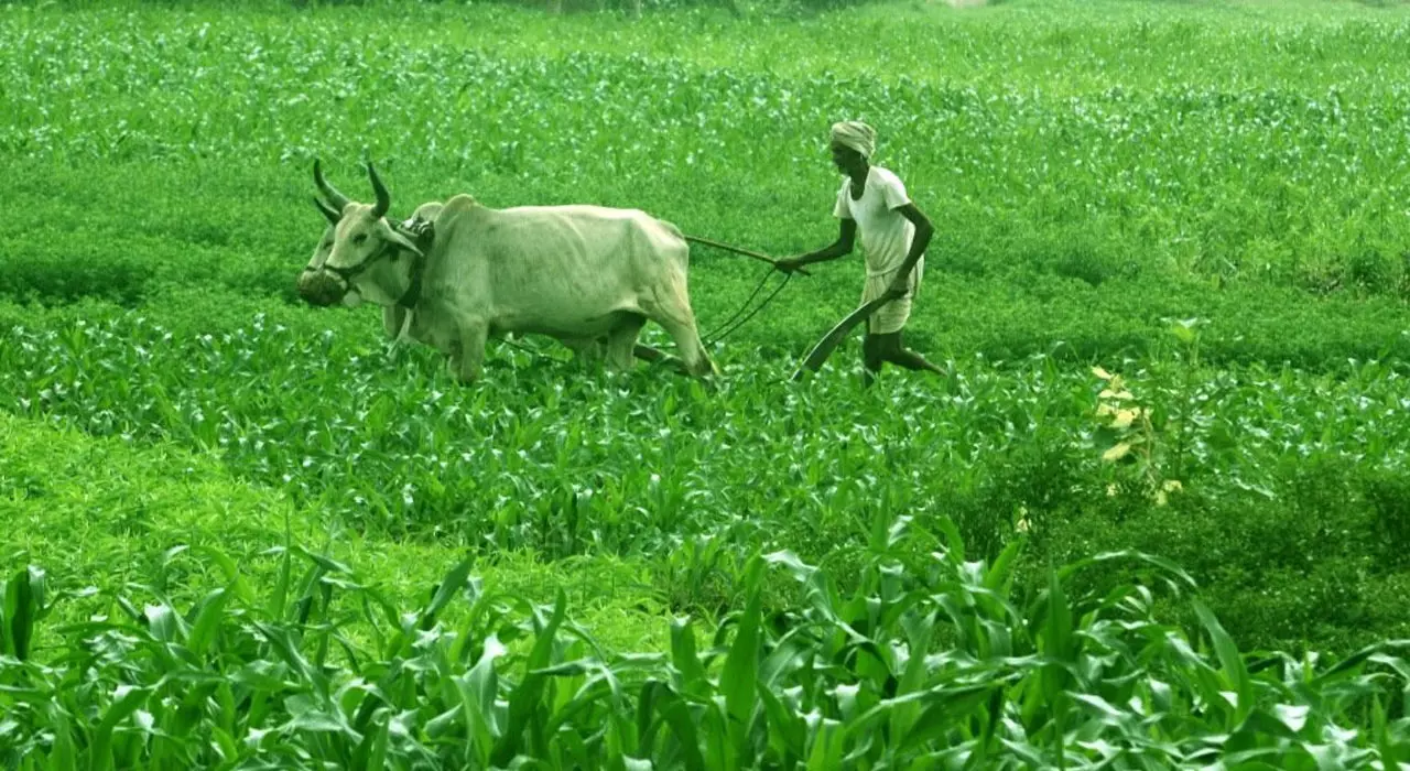 రైతుకు భారమవుతున్న FPO ల నిర్వహణ